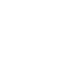 loan (1)