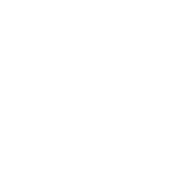 loan (4)
