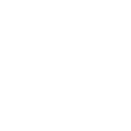 mortgage-loan